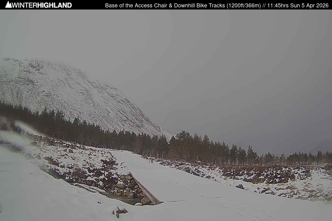 Web Cam Currently Unavailable