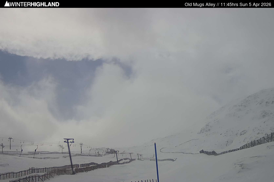 Web Cam Currently Unavailable